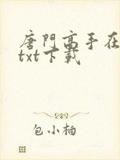 唐门高手在异世txt下载