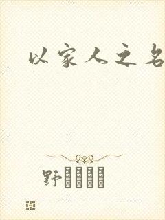以家人之名小说