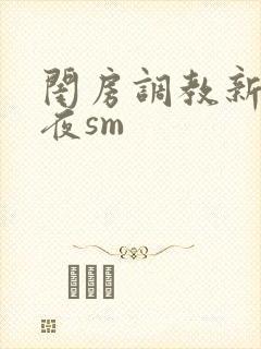 闺房调教新婚之夜sm封面