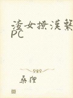 渣女撩汉系统NPC封面