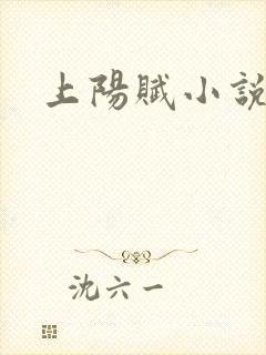 上阳赋小说