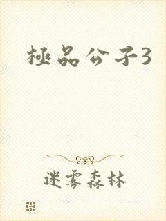 极品公子3