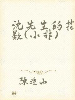 沈先生的花式调数(小非)