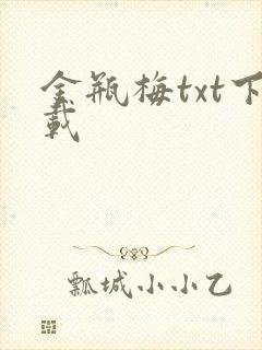 金瓶梅txt下载封面