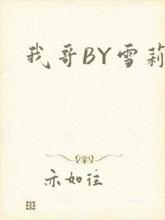 我哥BY雪莉封面