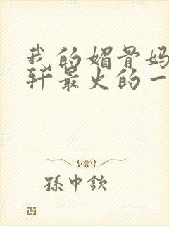 我的媚骨妈妈林轩最火的一句