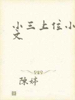 小三上位小说全文封面