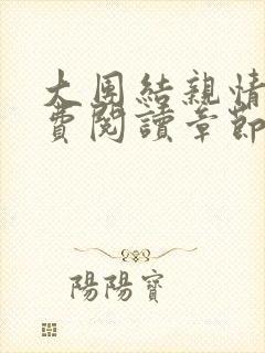 大团结亲情会免费阅读章节封面