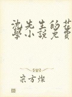 沈先生的花式教学小说免费