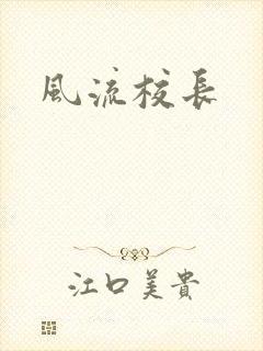 风流校长封面