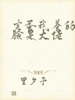 完蛋我养的小白脸是大佬封面