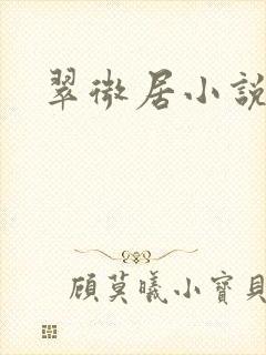 翠微居小说