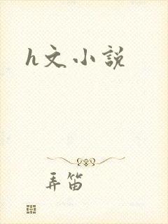 h文小说封面