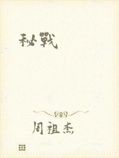 秘战