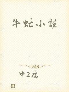 牛虻小说