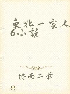 东北一家人1一6小说