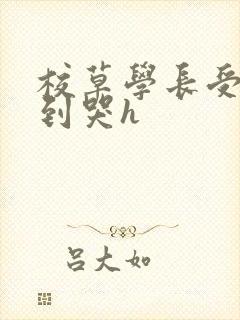校草学长受被做到哭h