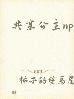 共享公主npc