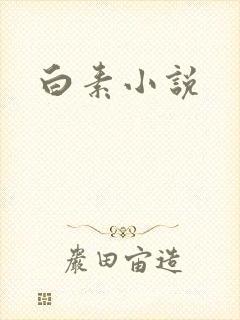 白素小说
