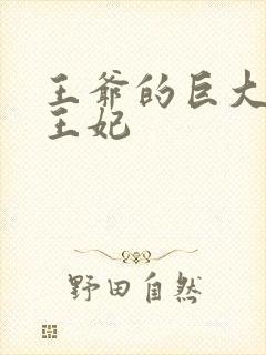 王爷的巨大进入王妃