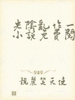 光阴乱作一团的小说免费阅读