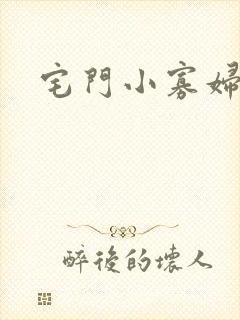 宅门小寡妇