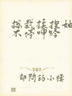 总裁揉捏她两乳不停呻吟