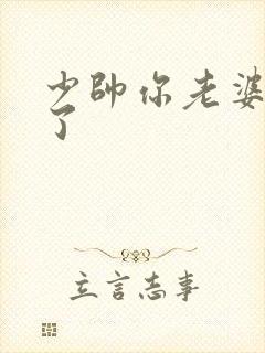 少帅你老婆又跑了