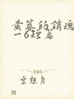 黄蓉的销魂夜1一6短篇封面
