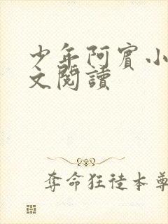 少年阿宾小说全文阅读