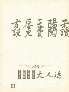 方辰天阳子的小说免费阅读