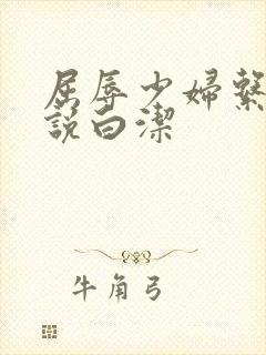 屈辱少妇系列小说白洁