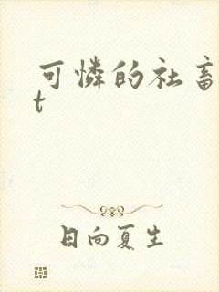 可怜的社畜txt