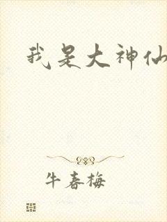 我是大神仙小说封面