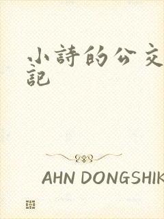 小诗的公交车日记