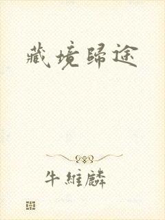 藏境归途
