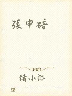 张申碚