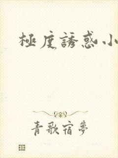 极度诱惑小说
