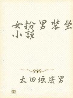 女扮男装坐江山小说封面