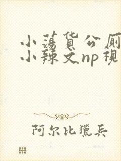 小荡货公厕h文小辣文np视频封面