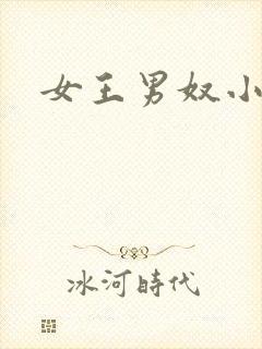 女王男奴小说