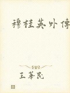 穆桂英外传