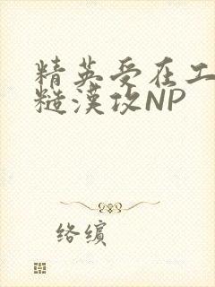 精英受在工地被糙汉攻NP封面