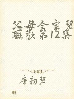 父母全家儿女大联欢第12集封面