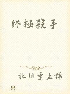 终极杀手