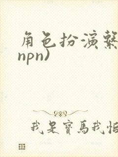 角色扮演系统(npn)