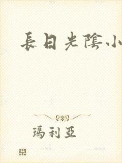 长日光阴小说封面