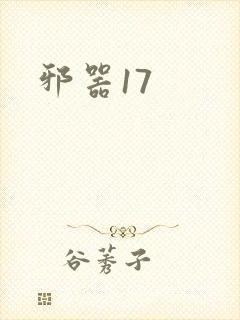 邪器17封面