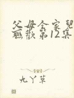 父母全家儿女大联欢第12集封面