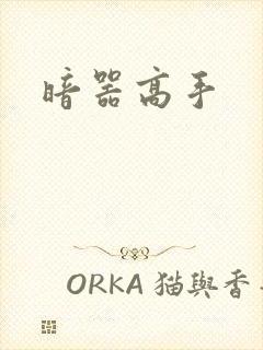 暗器高手